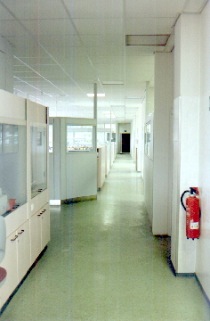 Laborbereich Dentallabor